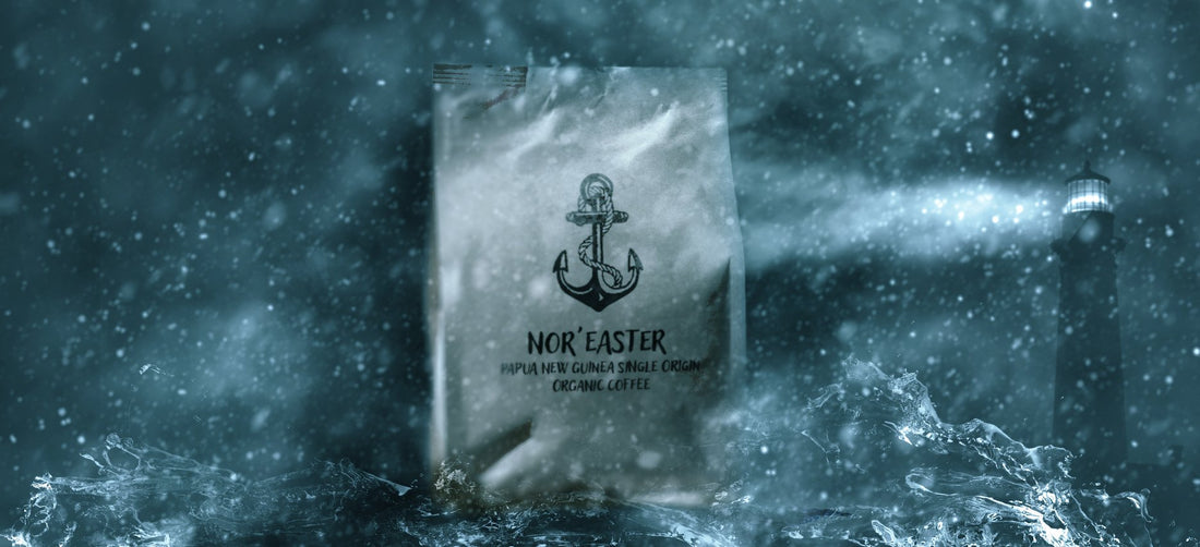 Discovering Nor'easter: Exploring the Art of Coffee Roasting at Motif Roasters - Motif Roasters