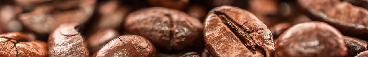 Fresh Coffee Beans - Gloucester MA