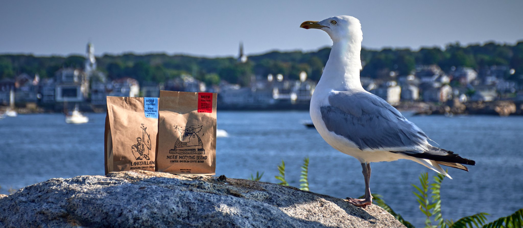 Motif Roasters in Rockport MA - Cape Ann Coffee